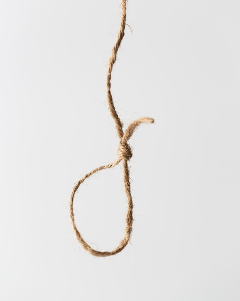 This image has an empty alt attribute; its file name is mae-mu-TVoh0JsOCv0-unsplash-819x1024.jpg